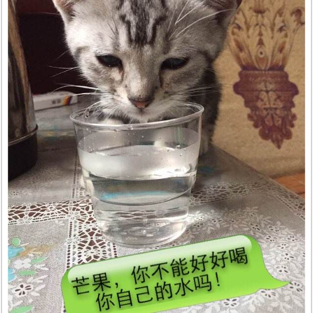 办不动产证银行资料有效期